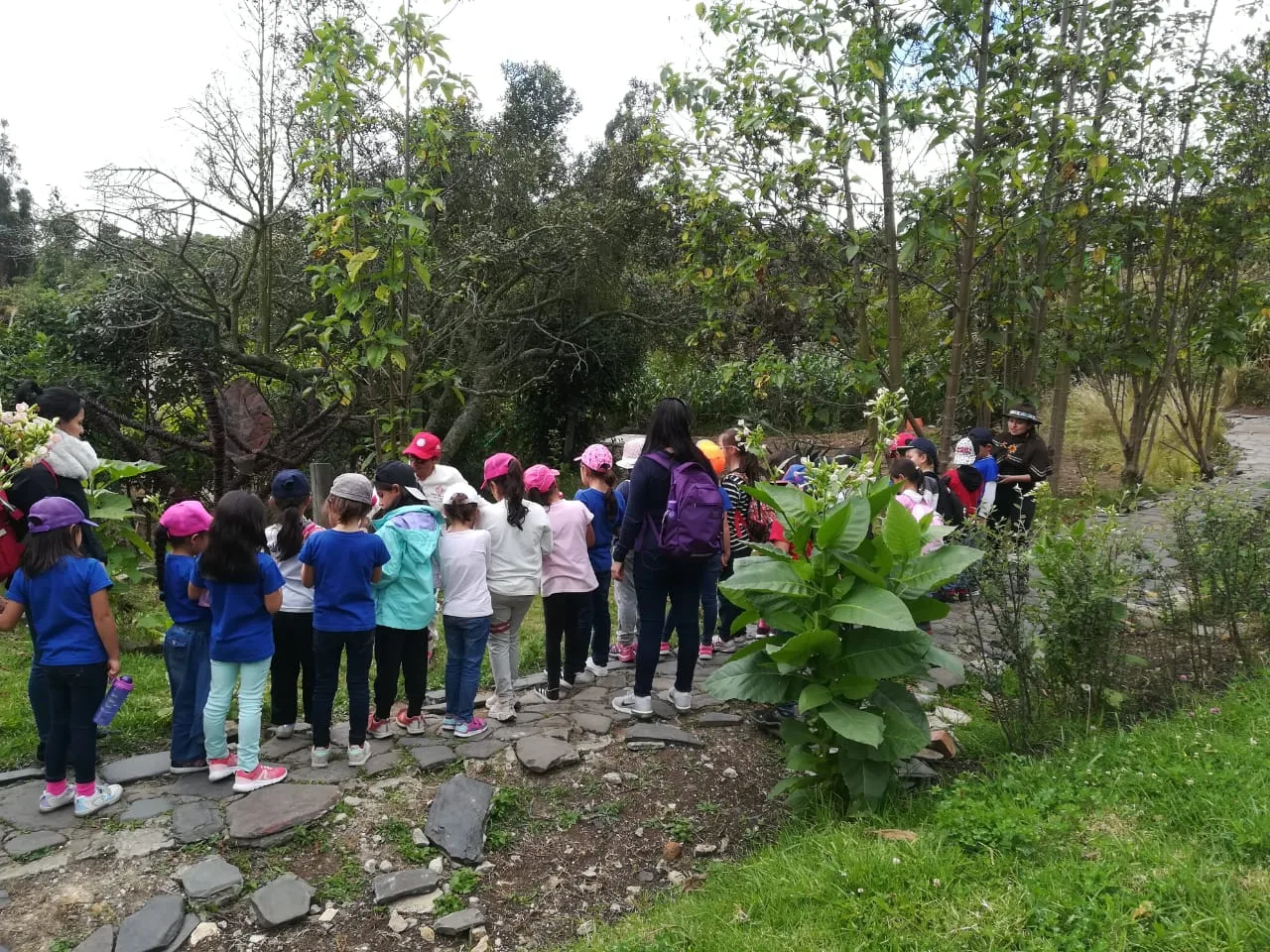 Seguridad en salidas escolares
