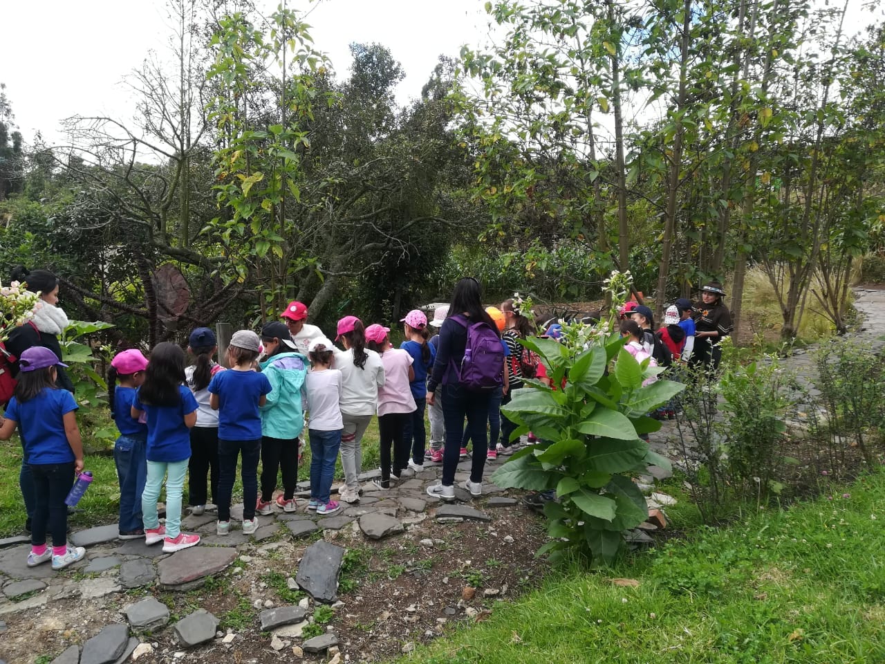 Seguridad en las salidas pedagógicas 1 Estudiantes visitando el resguardo Muisca de Cota acompañado con el Staff de Awalí School