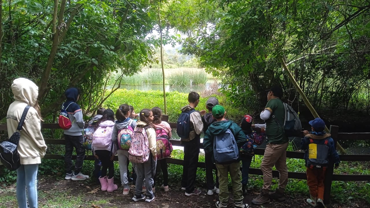 Estudiantes admirando la fauna y flora de un humedal de Bogotá durante una jornada de educación ambiental y Aprendizaje Vivo.