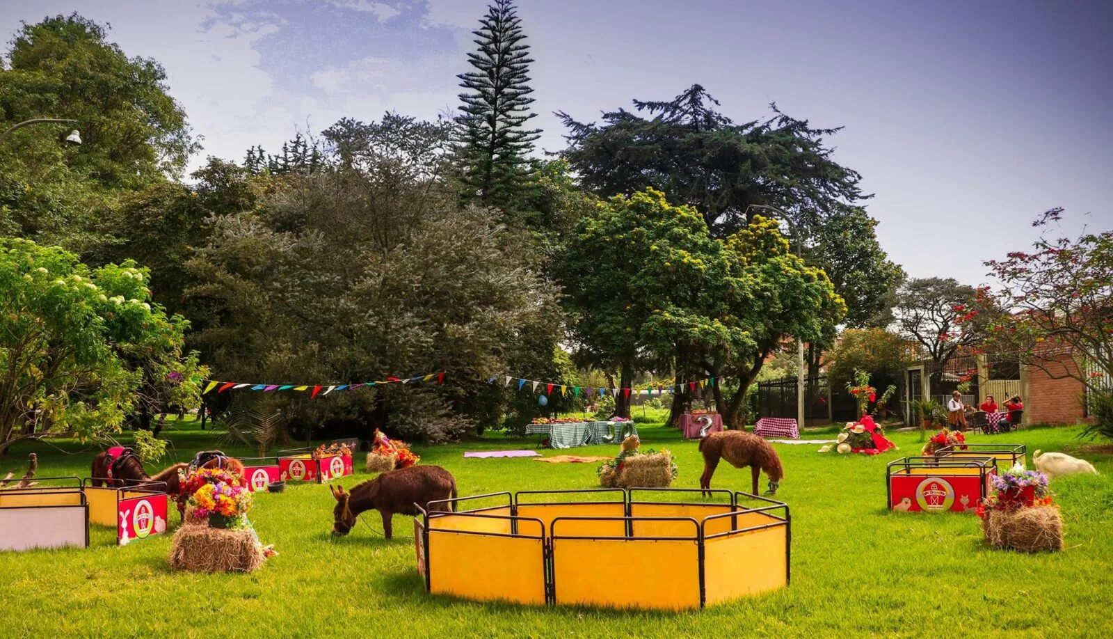 Granjas educativas cerca a Bogotá