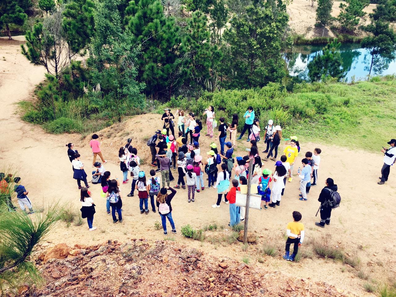 Niños participando en una caminata ecológica para colegios en un entorno natural seguro