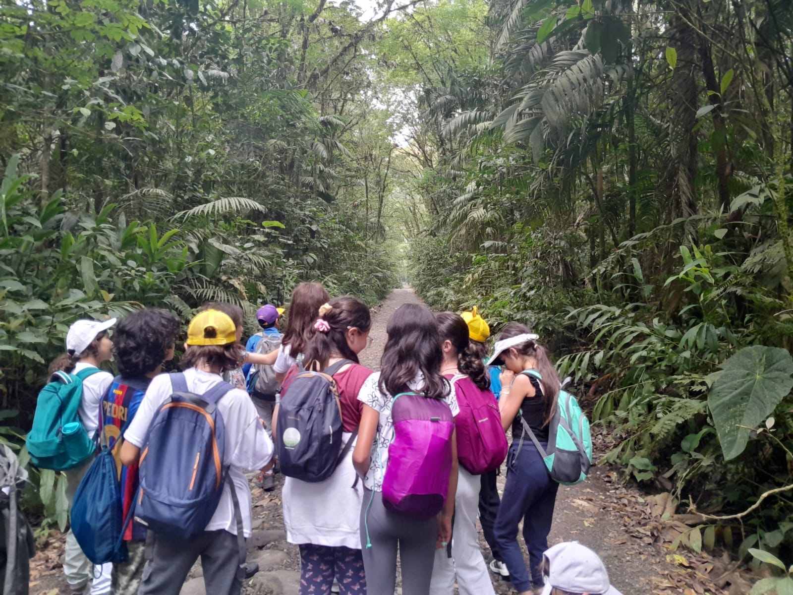 Estudiantes realizando una jornada de senderismo interpretativo para el reconocimiento de flora y fauna en una ruta operada por Awalí School.