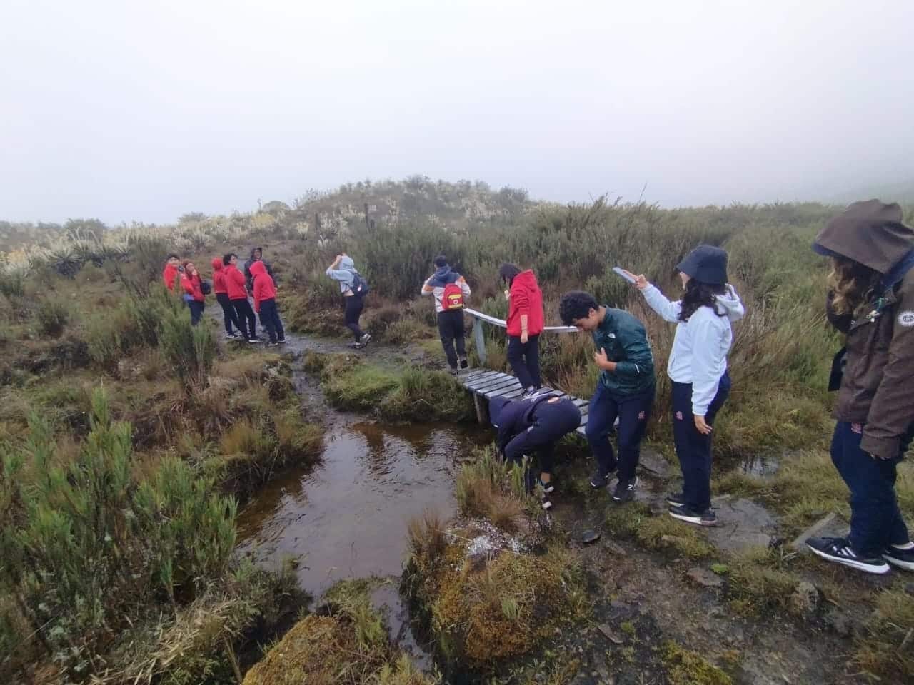 Caminatas ecologicas para colegios