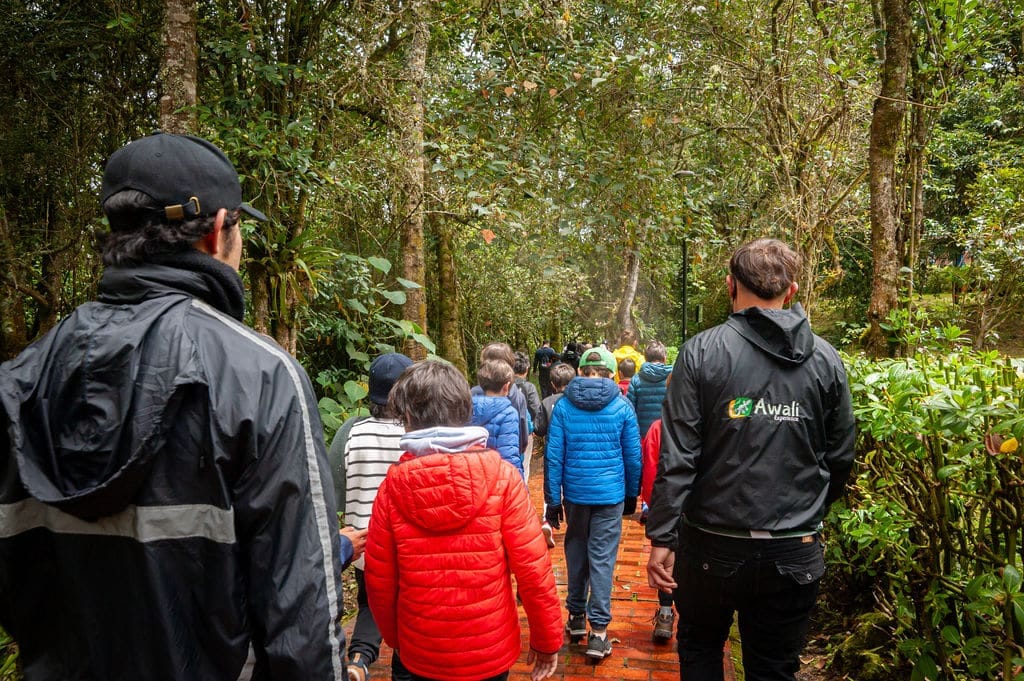 Seguridad en las salidas pedagógicas