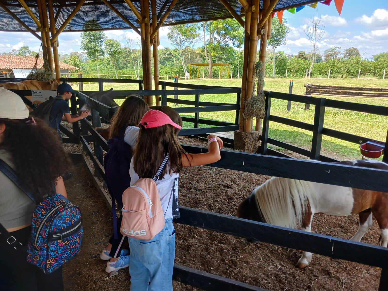 Niños aprendiendo sobre el cuidado de animales domésticos en una granja pedagógica, siguiendo los protocolos de seguridad para salidas pedagógicas.