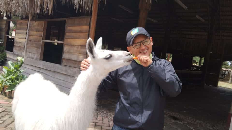Staff de Awalí School supervisando la interacción segura con una llama, garantizando los protocolos de seguridad para salidas pedagógicas
