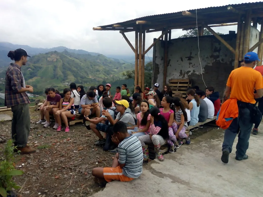 Programas de voluntariado