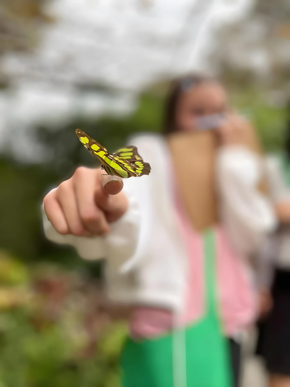 Estudiante con una mariposa durante la visita al Mariposario del Quindio en la excursión con Awalí School