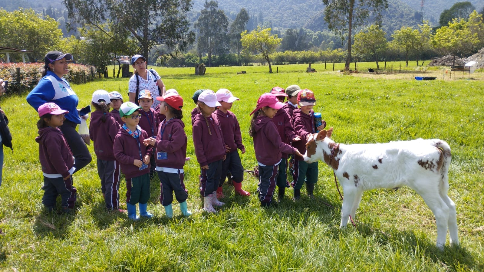 Grupo escolar siguiendo protocolos de inocuidad y control de calidad en el taller de productos lácteos operado por Awalí School.