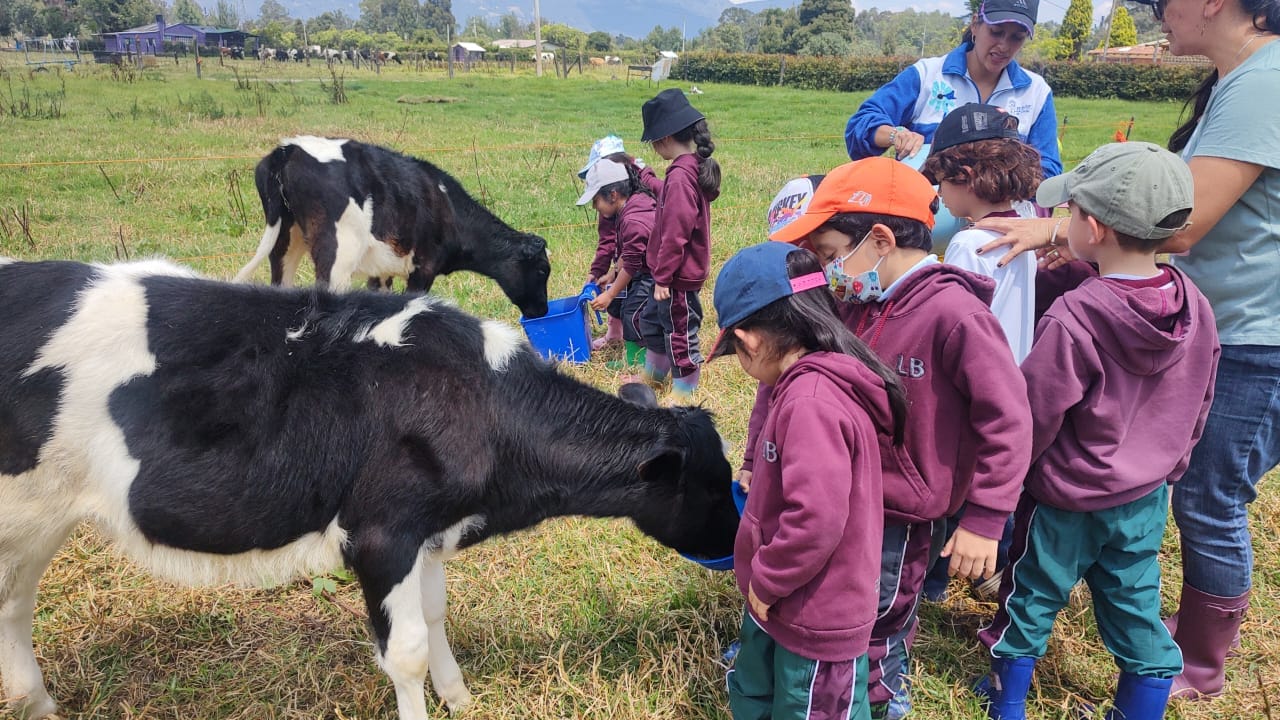 Observación de procesos de cuajado y pasteurización para la elaboración de productos lácteos en una planta industrial.