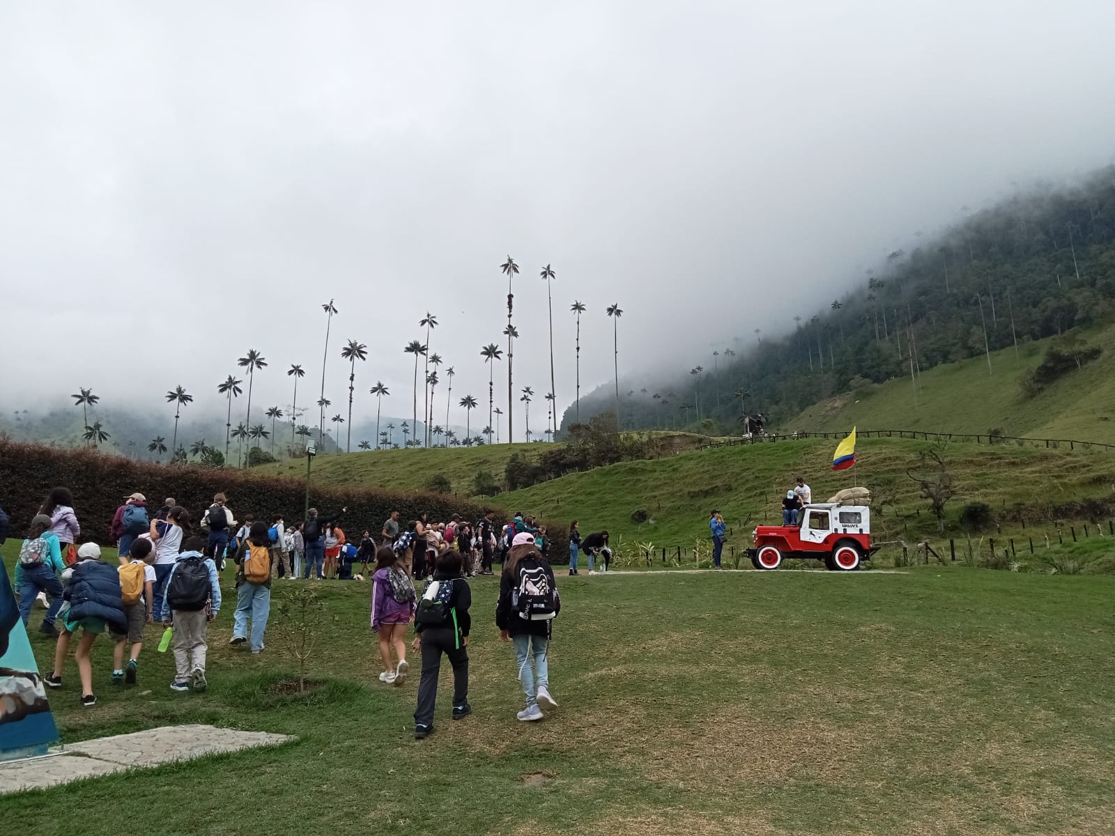 Recorrido pedagógico por el Valle del Cocorá. Excursión Eje Cafetero