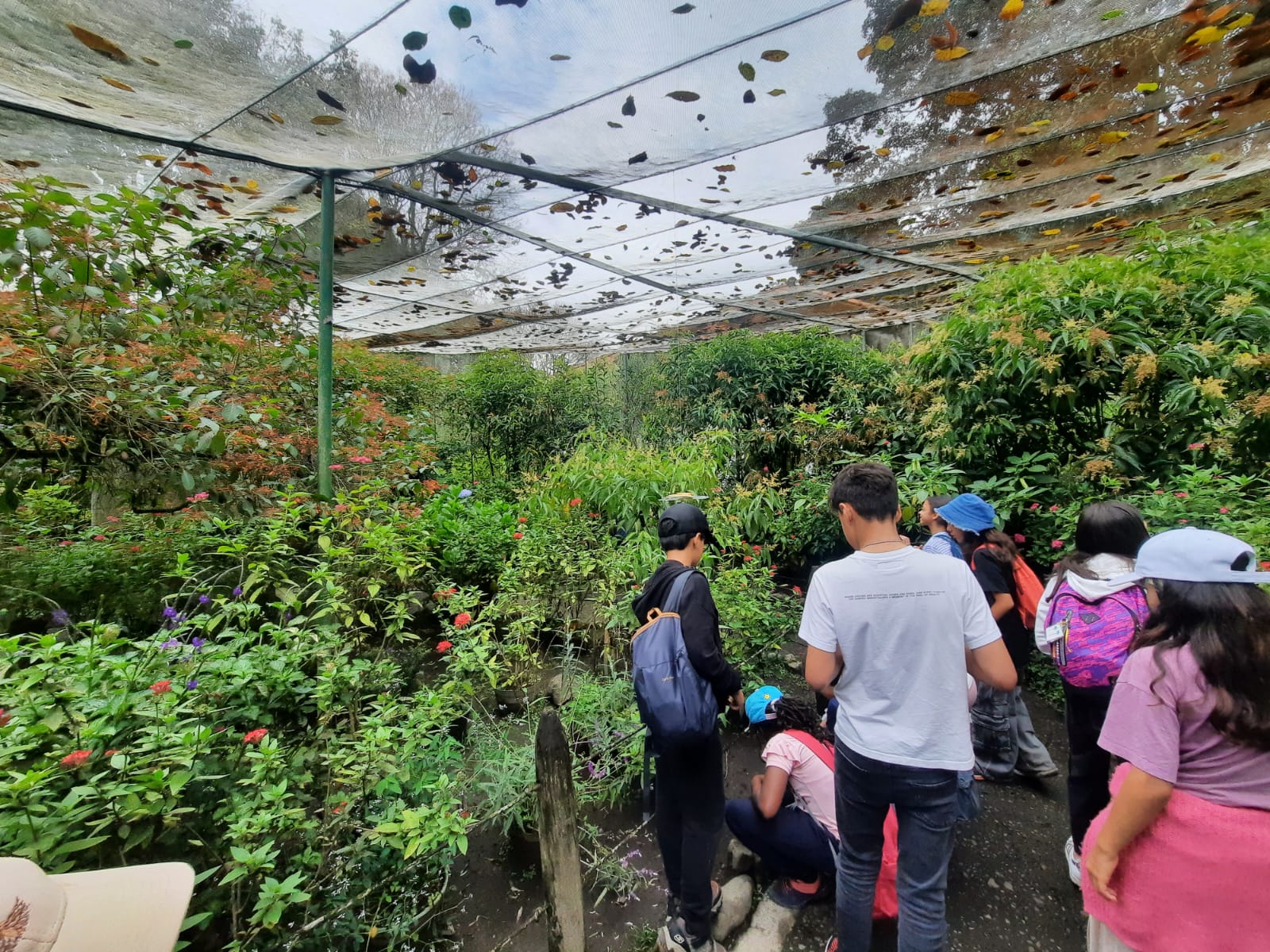 Recorrido pedagógico por el Mariposario de Calarcá. Awalí School