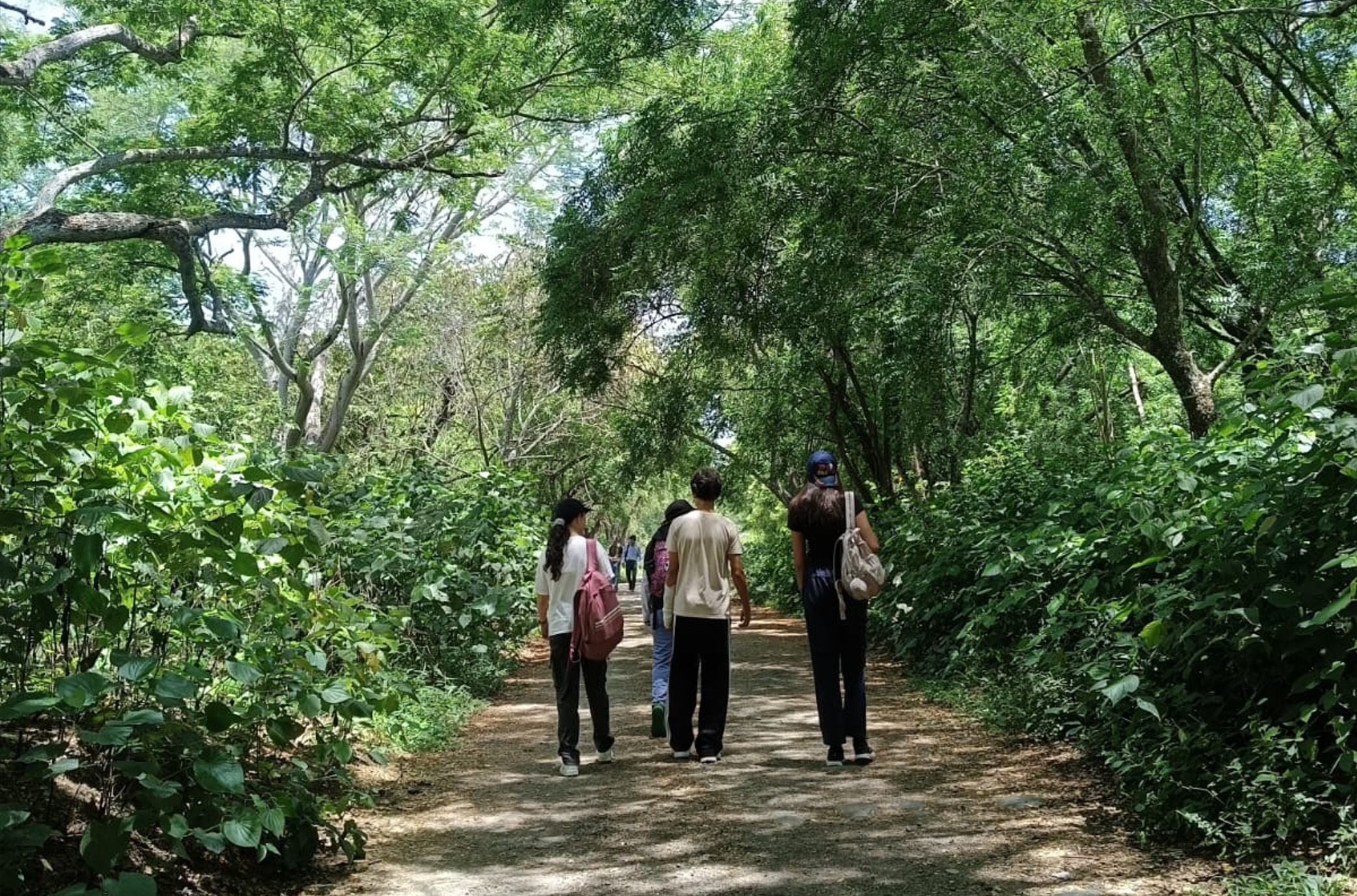 Estudiantes realizando actividades durante el campamento por la Ruta Mutis