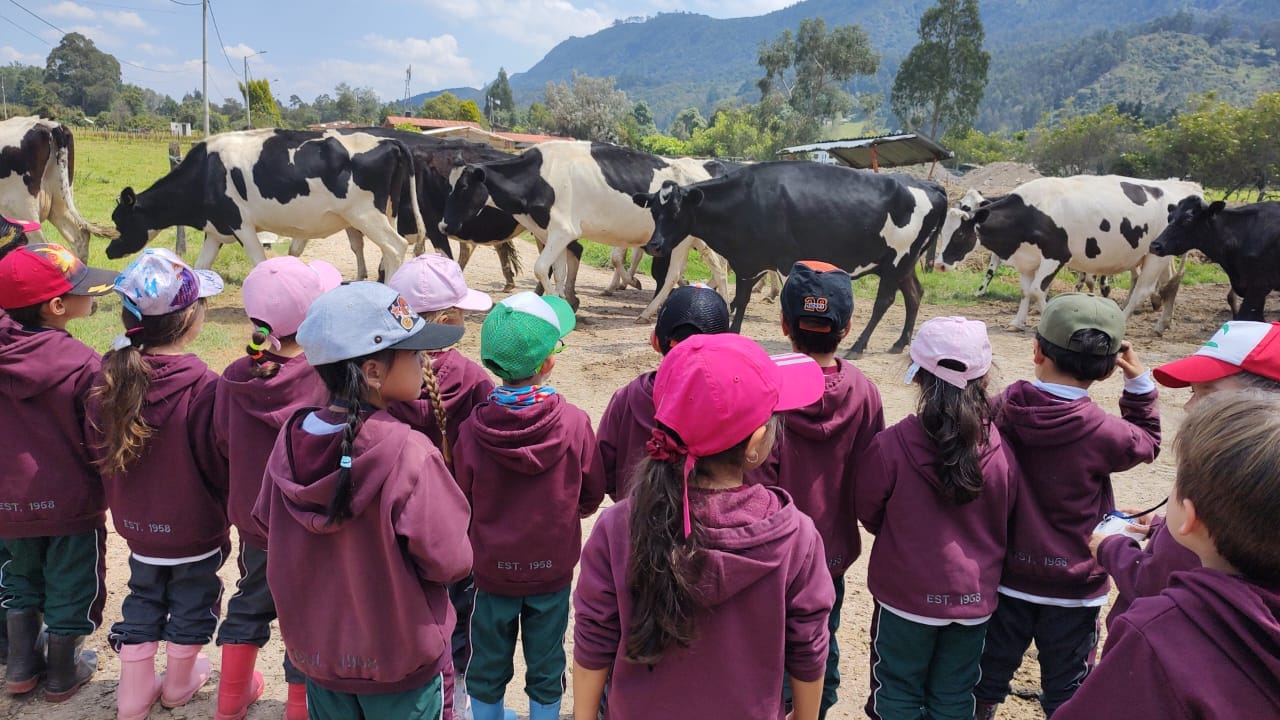 Estudiantes en la pradera de la hacienda en Tenjo escuchando la explicación sobre nutrición bovina previa al taller de productos lácteos.