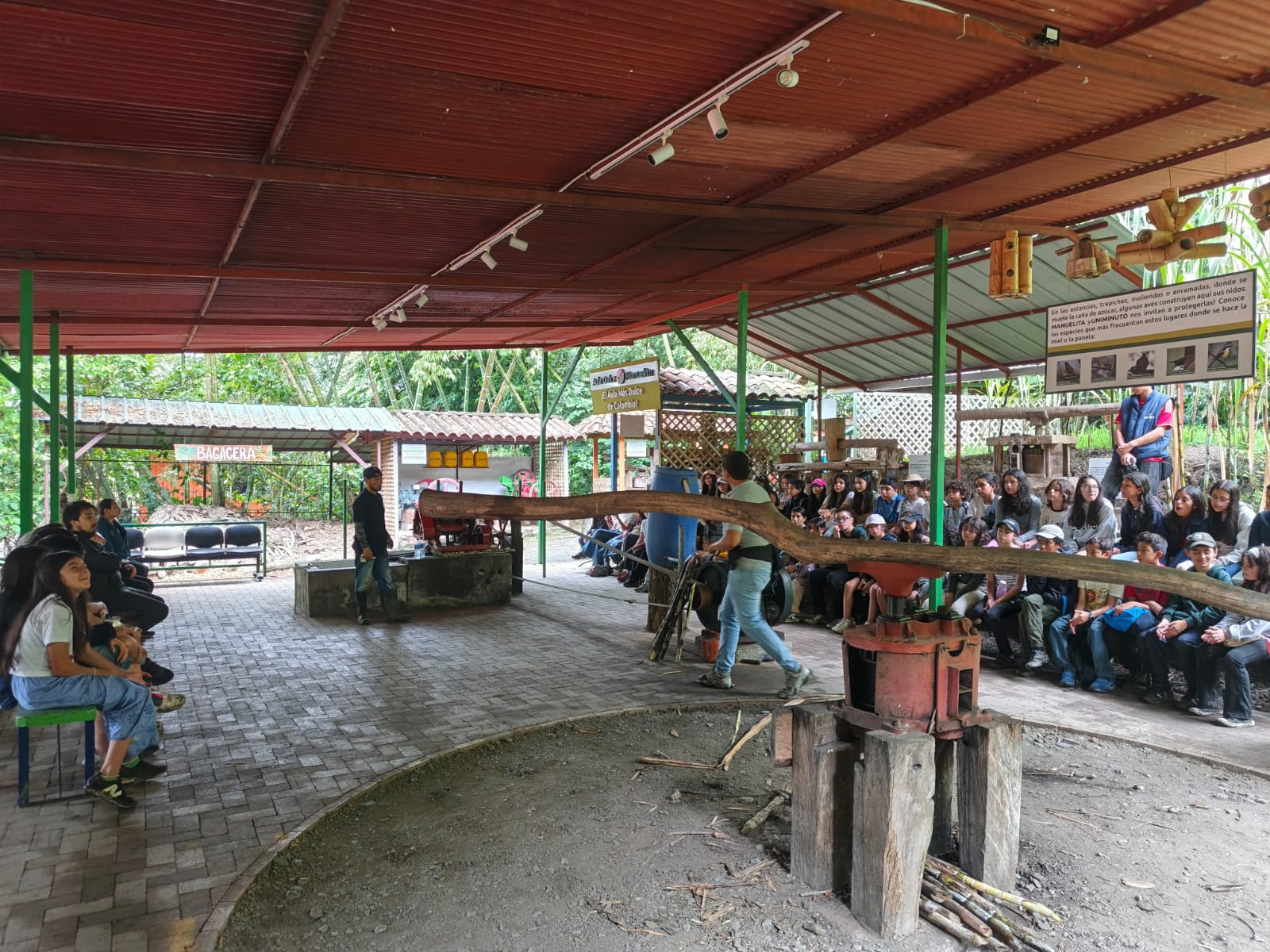 Taller pedagógico de café y cultura rural en el campamento de La Mesa Cundinamarca