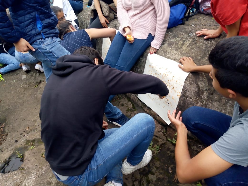 Estudiantes analizando grabados prehispánicos de la cultura Panche sobre una roca con arte rupestre en el Cerro del Quininí.
