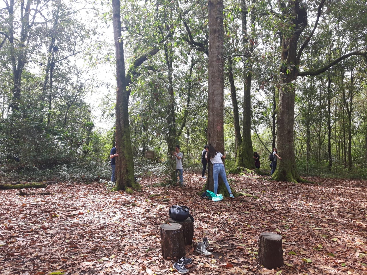 Grupo escolar realizando bocetos y registro arqueológico de las piedras con arte rupestre Panche.