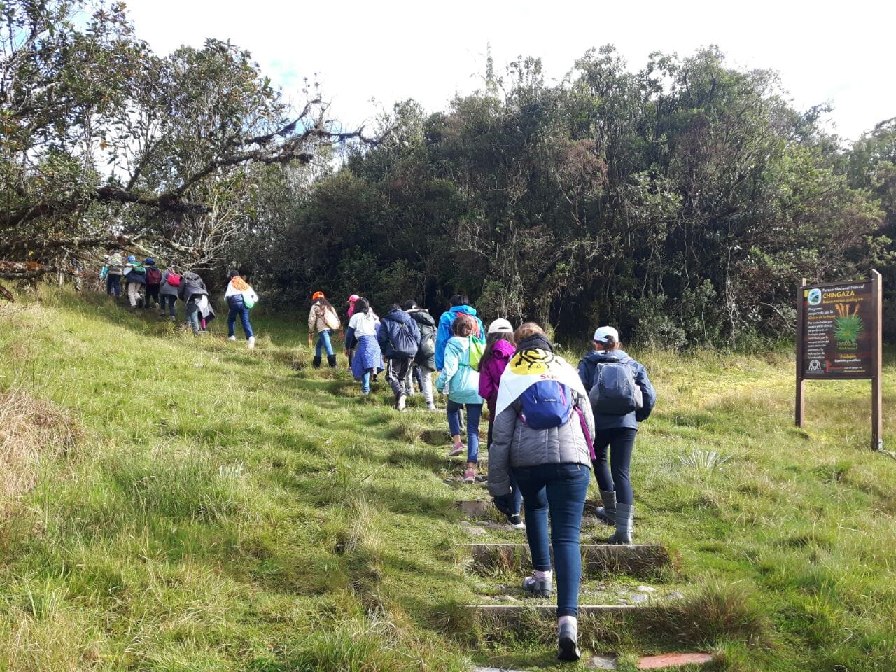 Grupo de estudiantes de colegio iniciando el ascenso por el sendero Suasie en el Parque Chingaza durante una caminata pedagógica de Awalí School