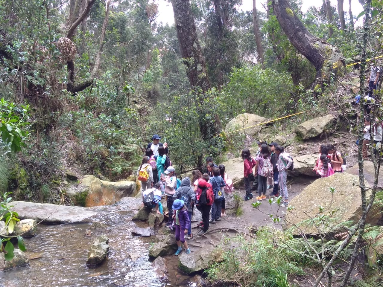 Estudiantes de colegio en la cascada de la Quebrada de Las Delicias durante una salida de educación ambiental con Awalí School.