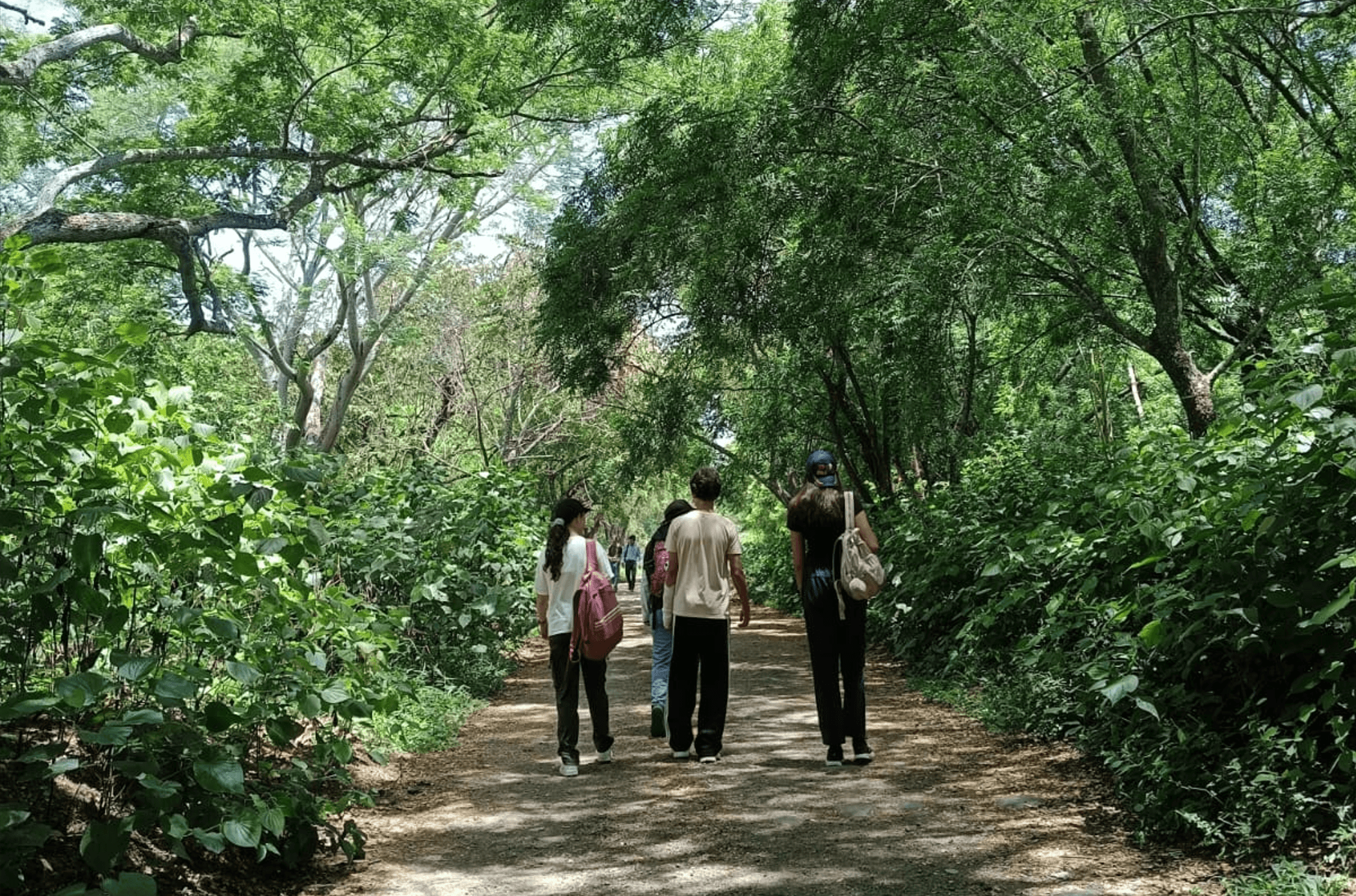 Estudiantes realizando actividades durante el campamento por la Ruta Mutis