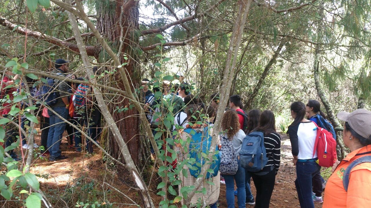 Estudiante registrando la geografía de la sabana en su diario de campo desde el Cerro del Pionono