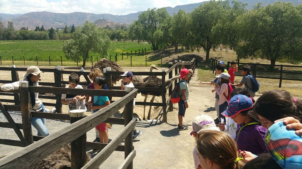 Granja de Avestruces Excursión Villa de Leyva Awalí