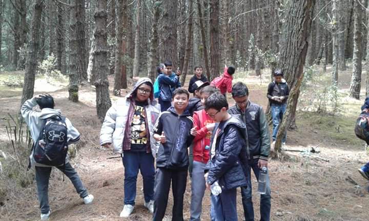 Estudiantes de colegio recorriendo senderos de bosque de pino en el Embalse del Neusa bajo supervisión de Awalí.