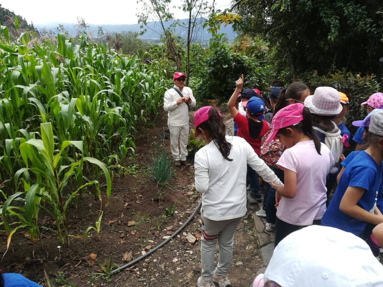 Estudiantes participando en talleres de siembra y soberanía alimentaria bajo la operación logística de Awalí School en el resguardo de Cota.