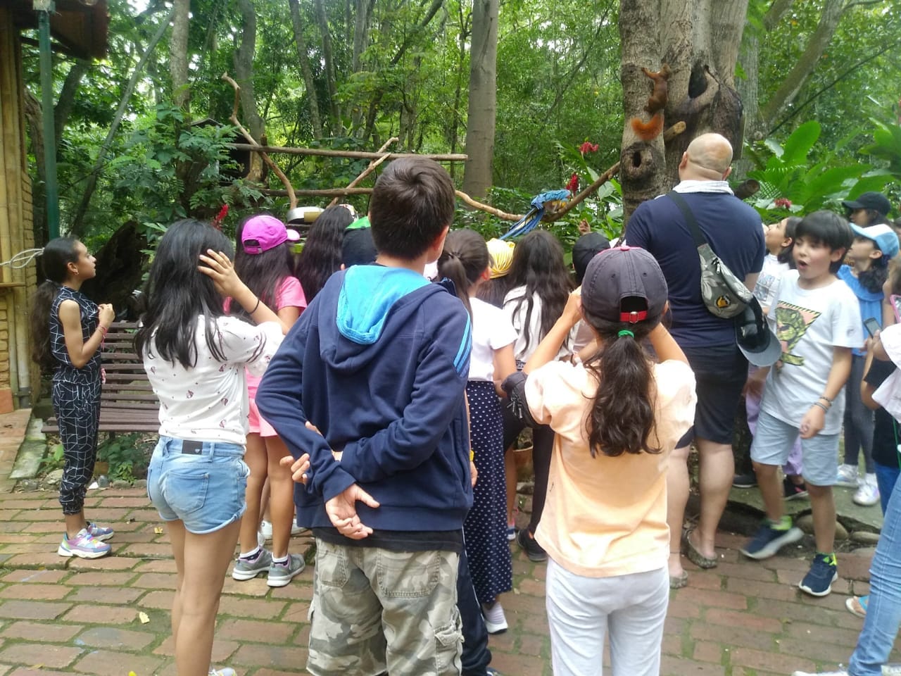 Conociendo el hermoso Parque Gallineral, salida pedagógica Santander