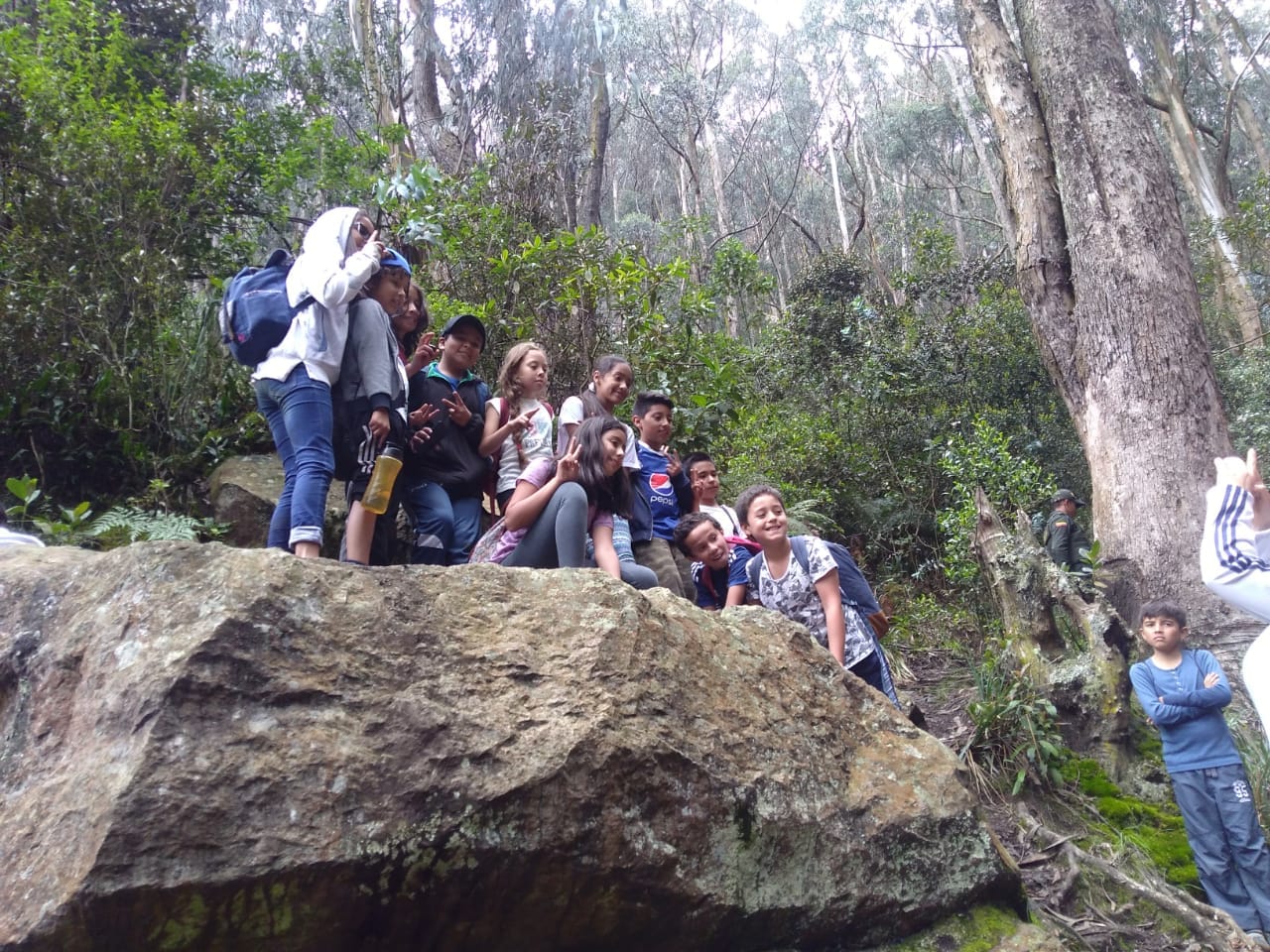 Taller de identificación de especies nativas en la Quebrada de Las Delicias para colegios de Bogotá.
