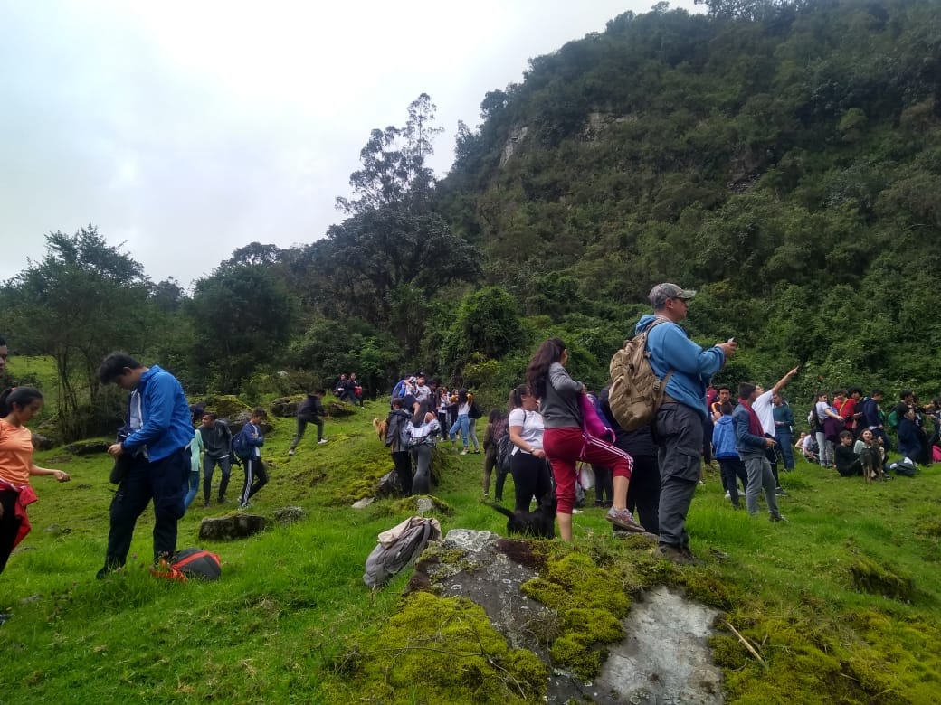 Estudiantes registrando observaciones botánicas en su diario de campo frente a un helecho arborescente en las Cascadas de Sueva, metodología de Awalí School.