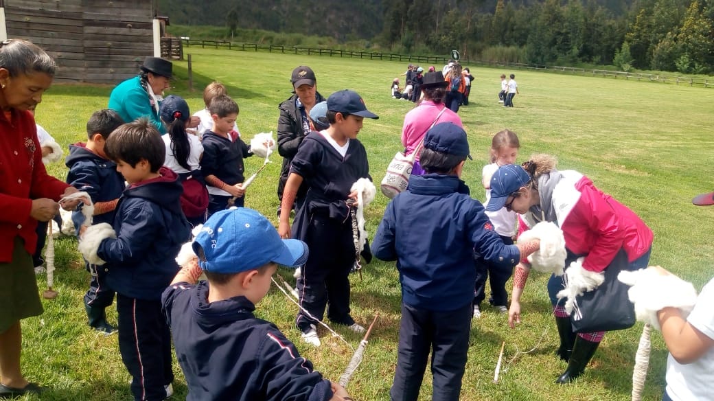 Estudiantes aprendiendo el proceso técnico y ético de esquilado durante el taller de la lana en una hacienda de Ubaté.