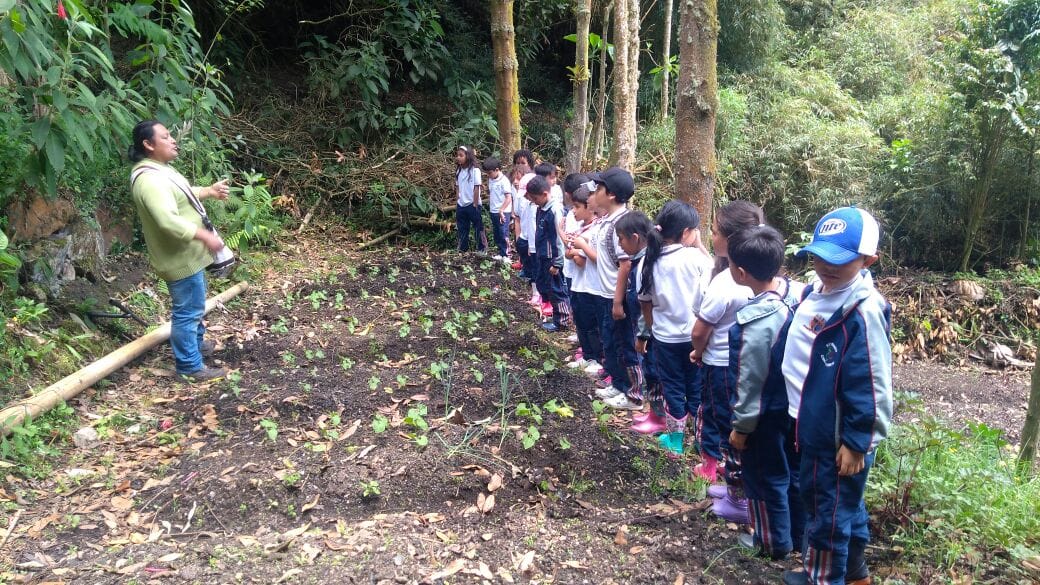 Taller de etnobotánica y medicina tradicional indígena en los senderos del resguardo de Sesquilé.