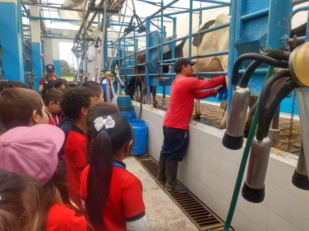 Infografía detallada del ciclo de aprendizaje experiencial en colegios aplicado en las rutas de Awalí School.