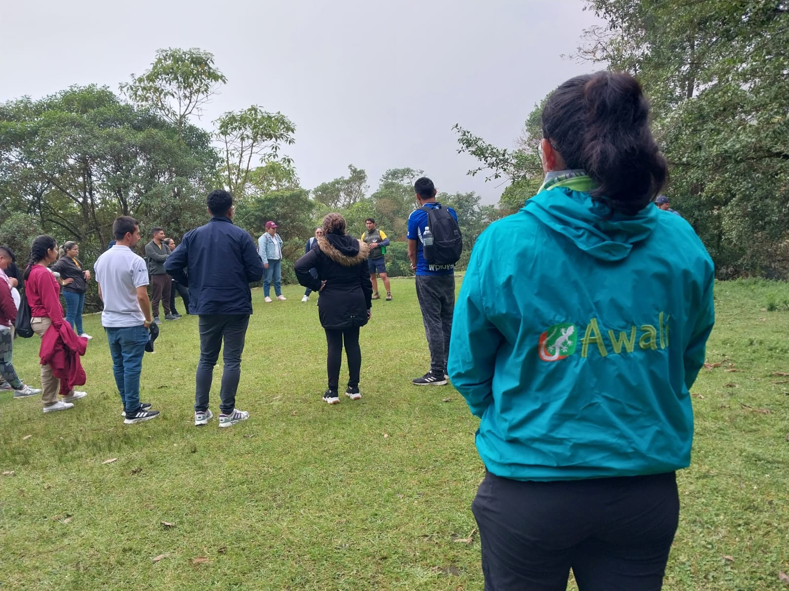 Estudiantes de colegio explorando el bosque de niebla bajo los helechos arbóreos prehistóricos en el Parque Chicaque con Awalí School.