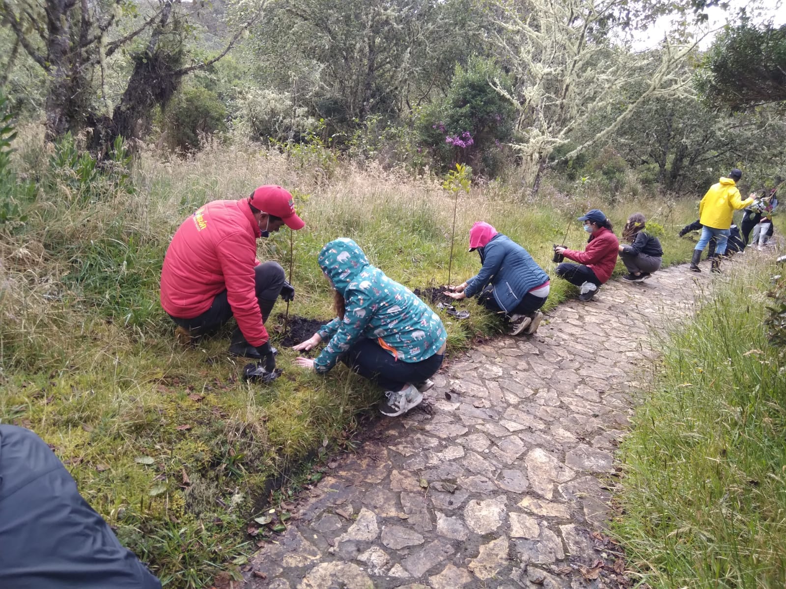 Grupo siguiendo senderos establecidos para evitar la erosión en una caminata ecológica.