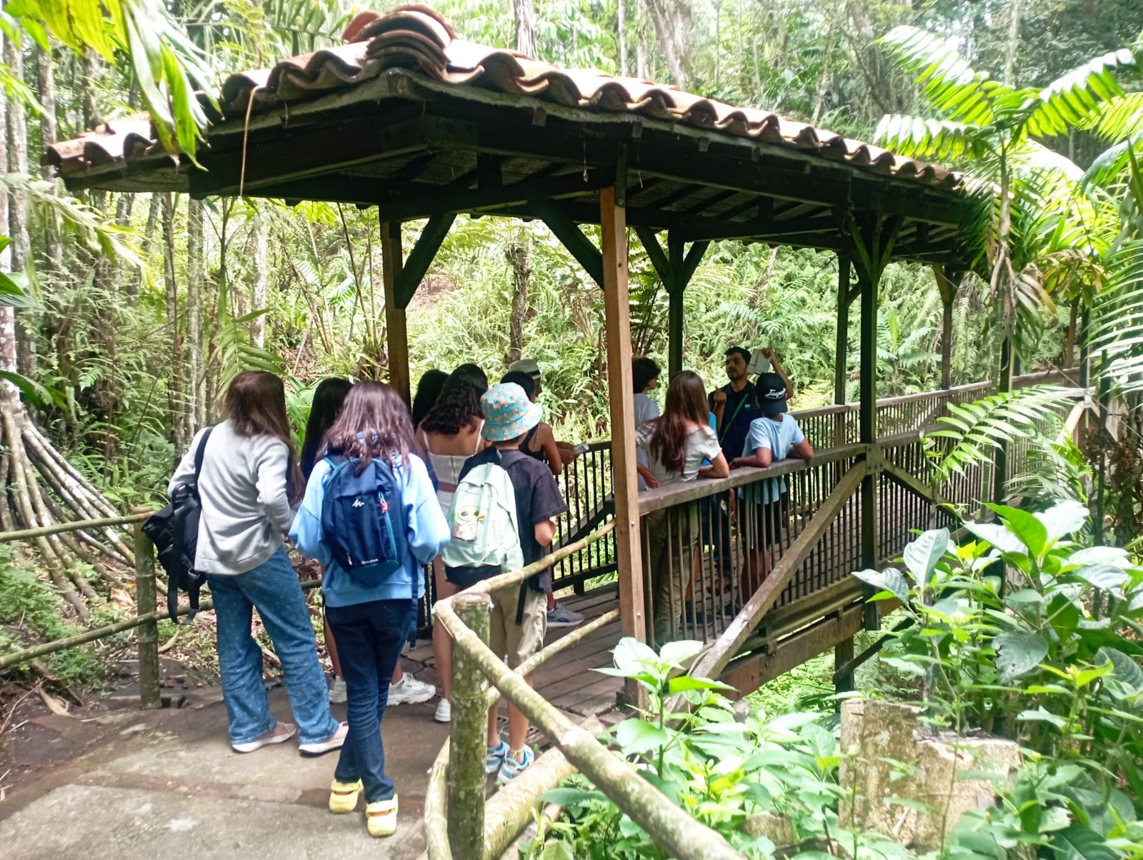 Actividad de relajación y reducción de estrés al aire libre bajo el modelo de bienestar estudiantil de Awalí School.