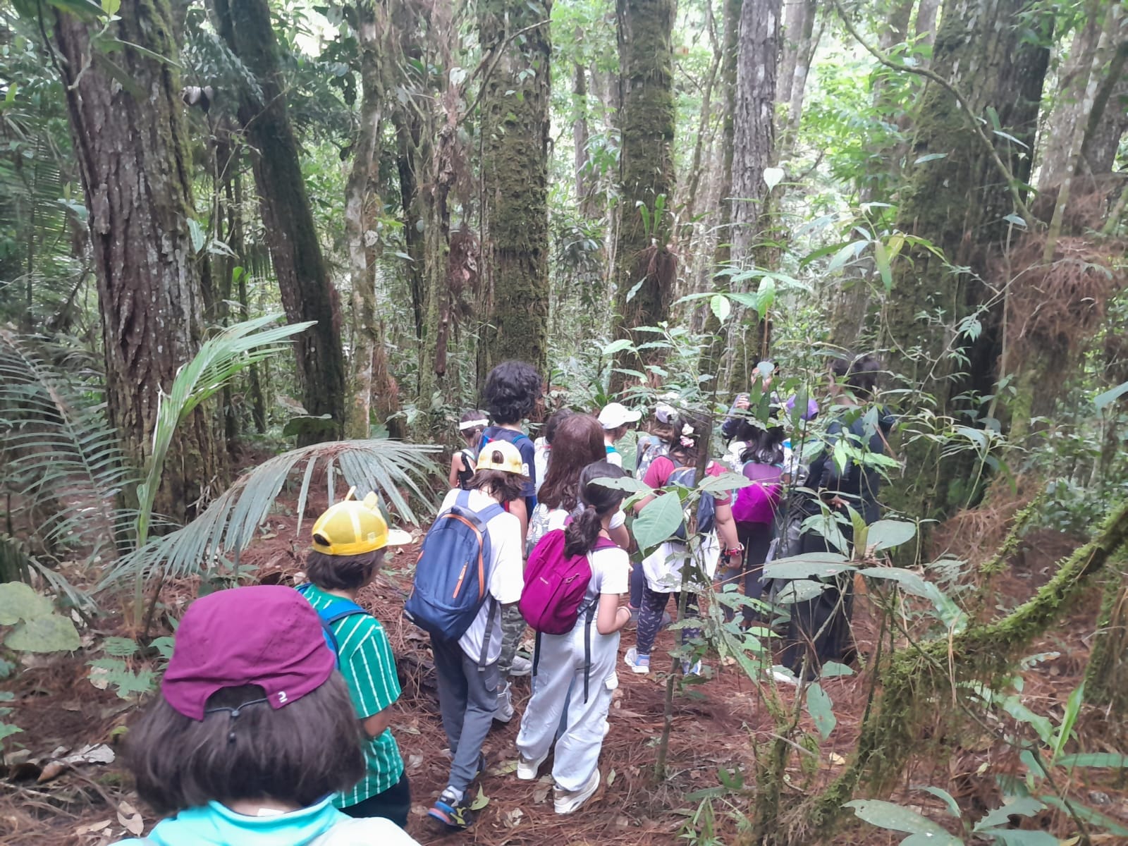 Beneficios de la naturaleza en el bienestar de los estudiantes