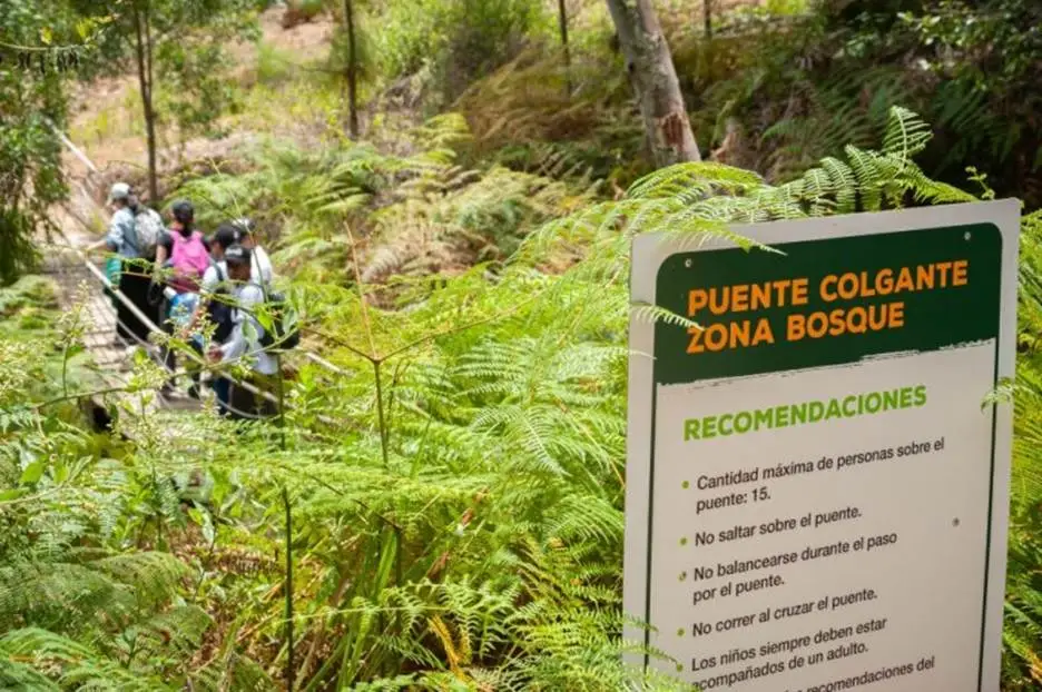 Grupo escolar en una expedición de turismo educativo por ecosistemas colombianos con Awalí School.