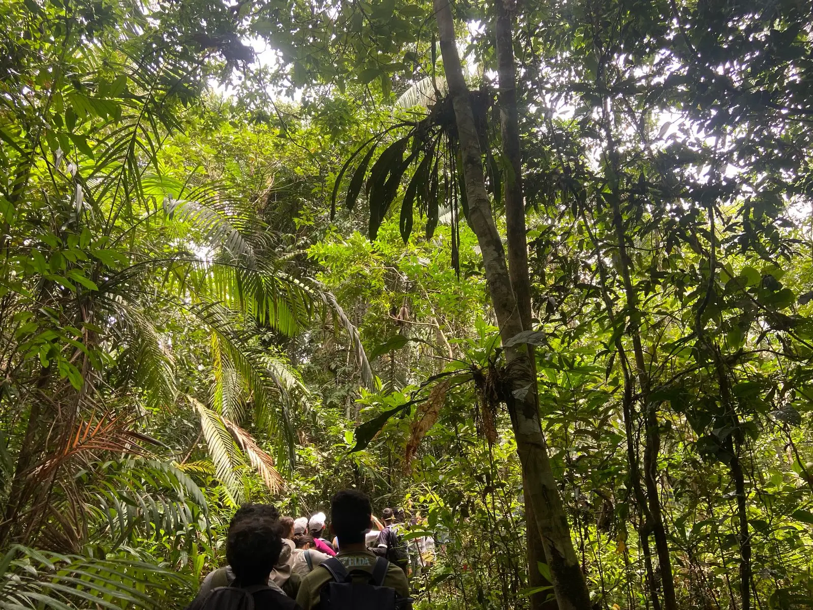 Estudiantes participando en un taller de saberes ancestrales en el Amazonas, el más biodiverso de los 5 destinos pedagógicos de Awalí.