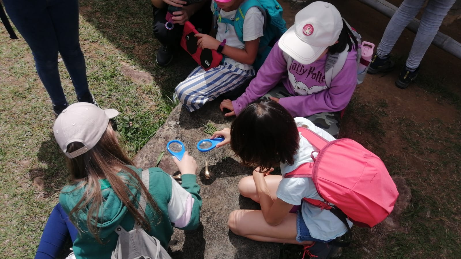 Facilitador profesional de Awalí School liderando talleres pedagógicos para colegios con enfoque vivencial.