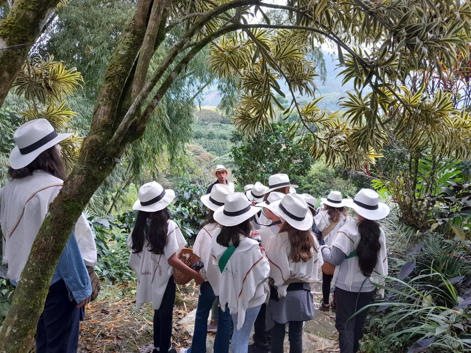 Estudiantes en una ruta de interpretación ambiental y reconocimiento de la biodiversidad en la región cafetera con Awalí School.
