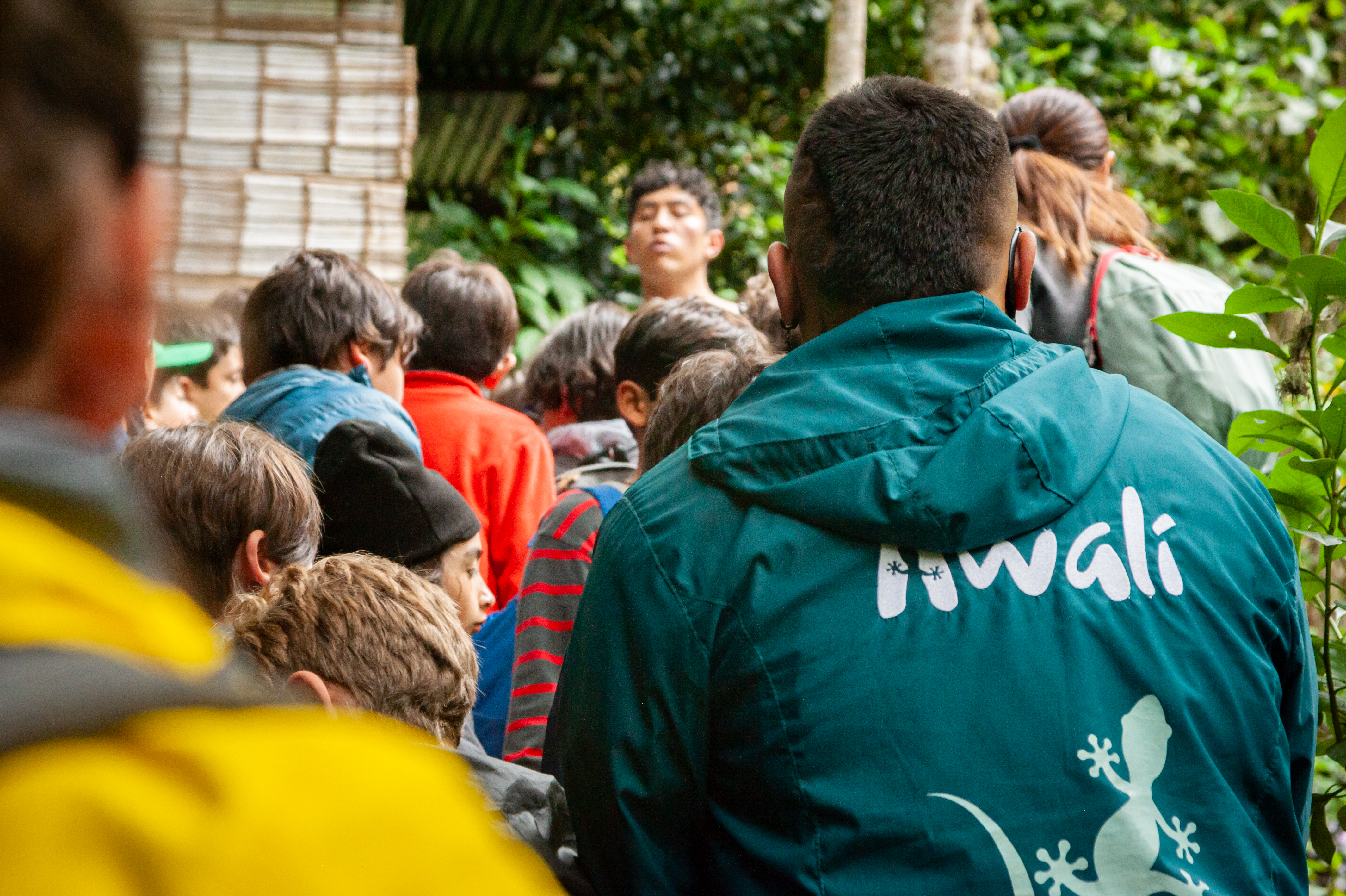 Salidas pedagógicas en colombia