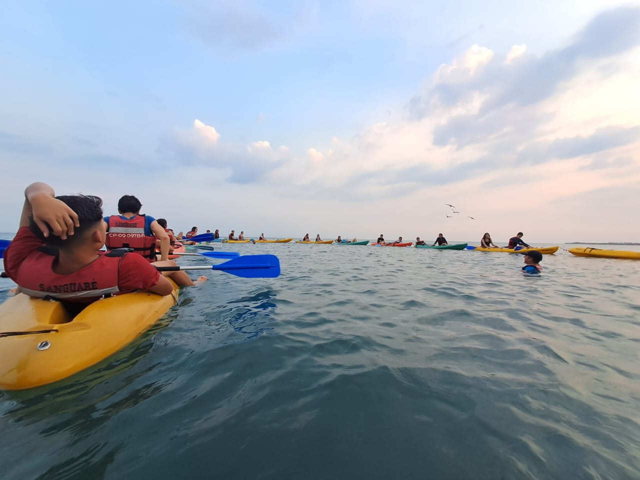 Actividad de kayak y limpieza de playas en la Reserva Natural Sanguaré con grupos escolares