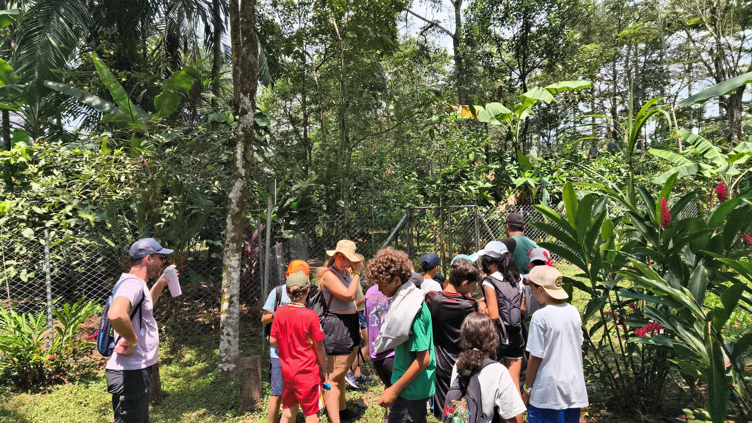 Taller de sistemas de producción agroecológica en la Hacienda La Cosmopolitana con grupos escolares