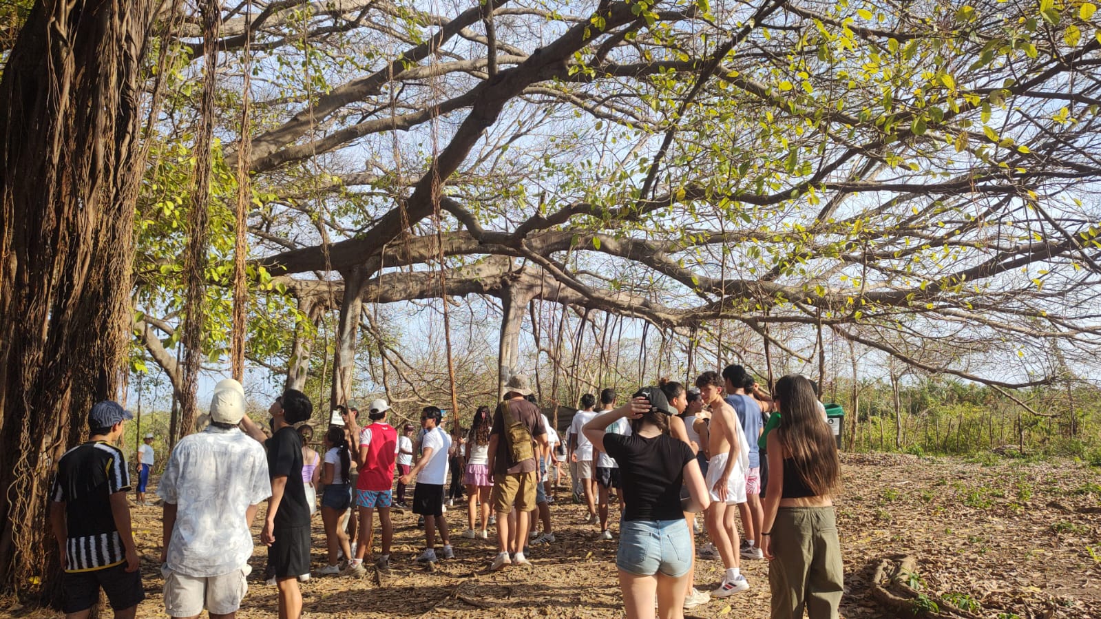 Siembra de manglares excursión pedagógica Awalí Isla Fuerte