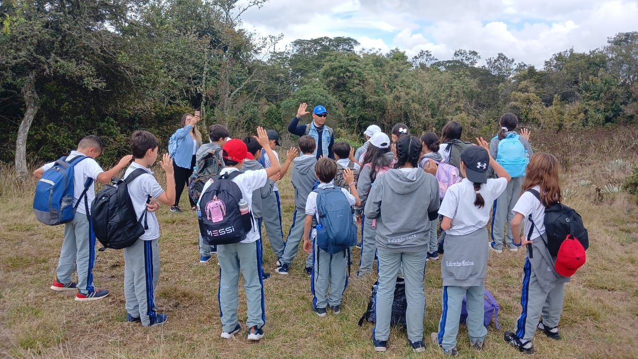 Taller de restauración y reconocimiento de especies nativas en la Montaña del Oso para colegios.