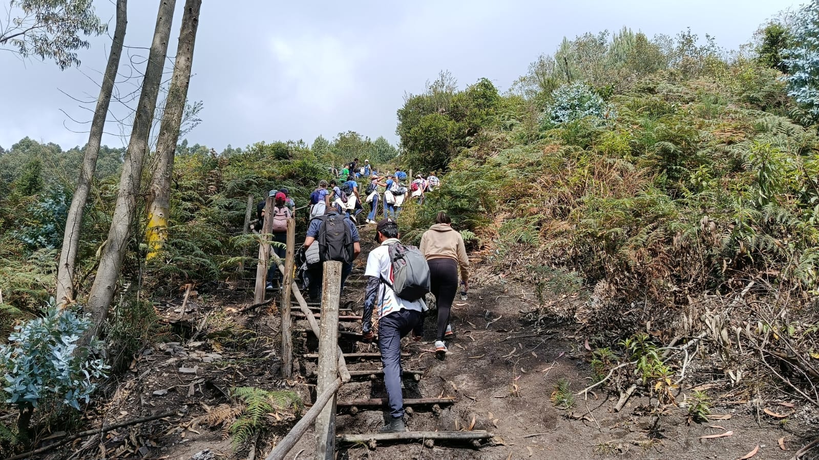Taller de etnobotánica y plantas medicinales en el Cerro del Majuy, territorio sagrado indígena.