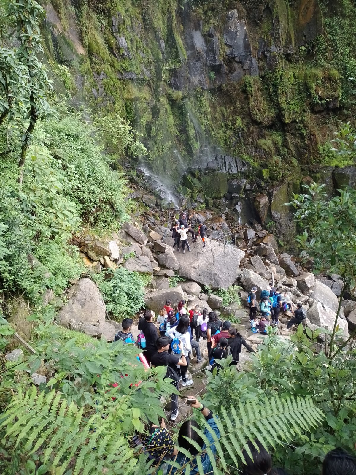 WhatsApp Image 2026 04 27 at 1.03.58 PM