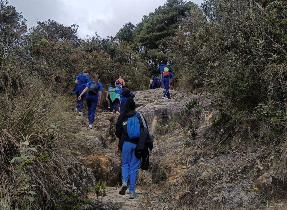 Estudiantes de colegio analizando la flora del bosque altoandino en la Reserva Andes durante una expedición con Awalí School.